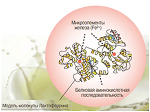 Lactoferrin obtained from transgenic goats perfect for babies and athletes